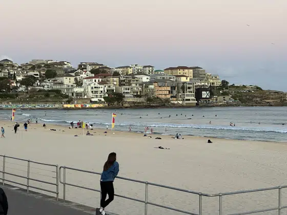 Bondi Beach Swimmers Hillside